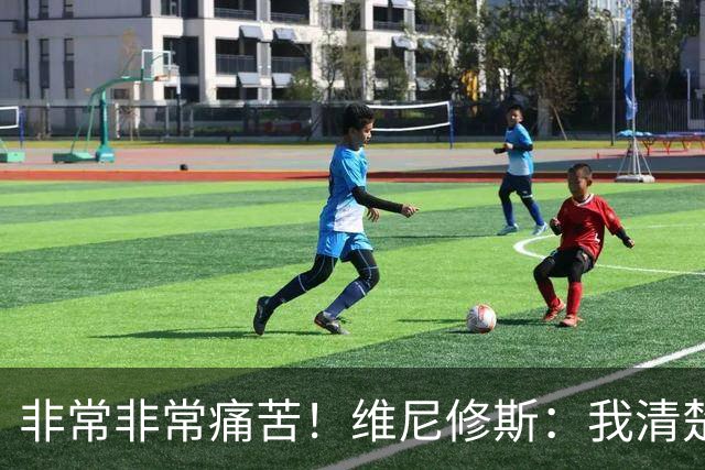 非常非常痛苦！维尼修斯：我清楚巴西很多没夺冠了，向球迷们致歉