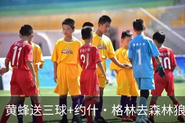 黄蜂送三球+约什·格林去森林狼 换里德+1首轮+3互换+3次轮